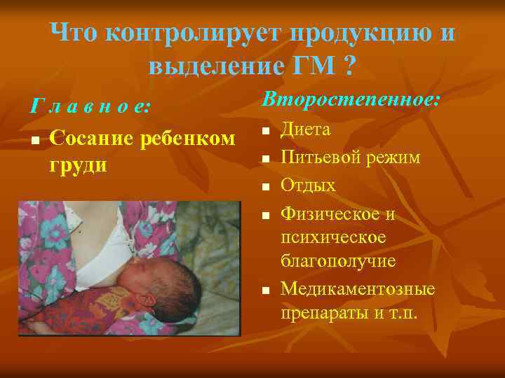 Что контролирует продукцию и выделение ГМ ? Г л а в н о е: