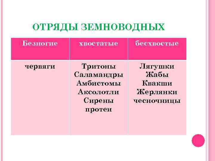 ОТРЯДЫ ЗЕМНОВОДНЫХ Безногие хвостатые бесхвостые червяги Тритоны Саламандры Амбистомы Аксолотли Сирены протеи Лягушки Жабы
