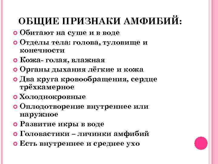 ОБЩИЕ ПРИЗНАКИ АМФИБИЙ: Обитают на суше и в воде Отделы тела: голова, туловище и