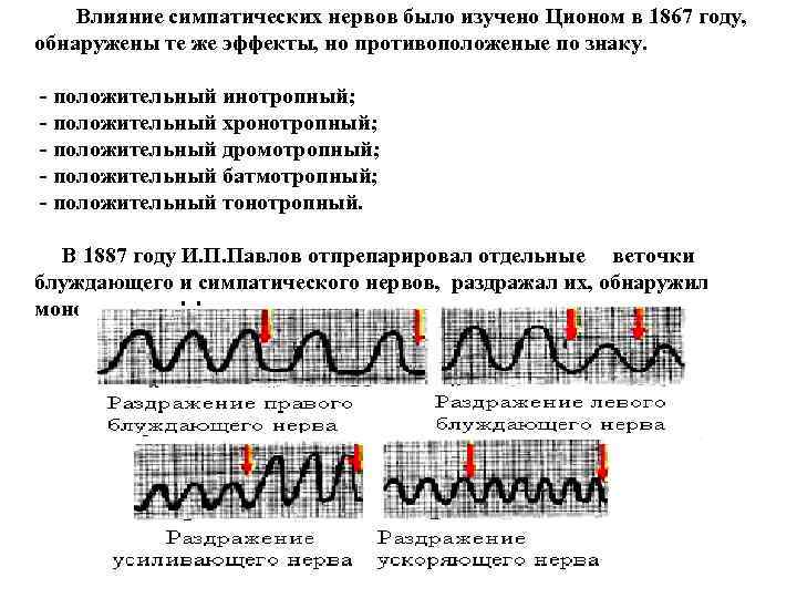 Влияние симпатических нервов было изучено Ционом в 1867 году, обнаружены те же эффекты, но