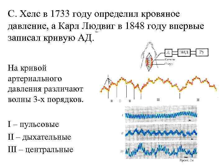 С. Хелс в 1733 году определил кровяное давление, а Карл Людвиг в 1848 году