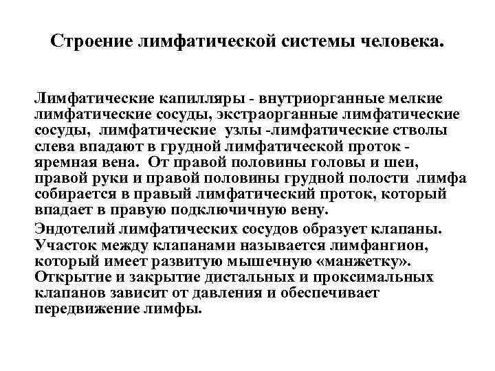 Строение лимфатической системы человека. Лимфатические капилляры - внутриорганные мелкие лимфатические сосуды, экстраорганные лимфатические сосуды,