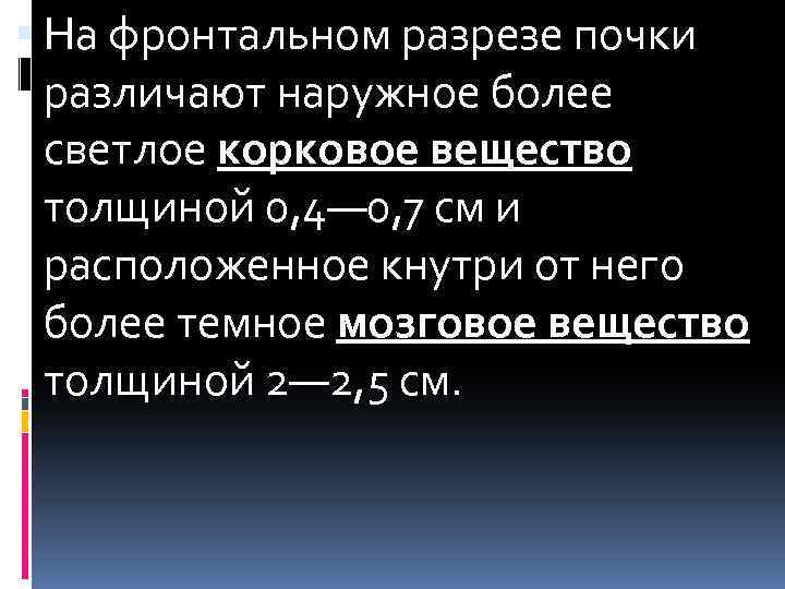  На фронтальном разрезе почки различают наружное более светлое корковое вещество толщиной 0, 4—