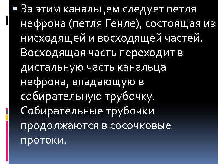  За этим канальцем следует петля нефрона (петля Генле), состоящая из нисходящей и восходящей