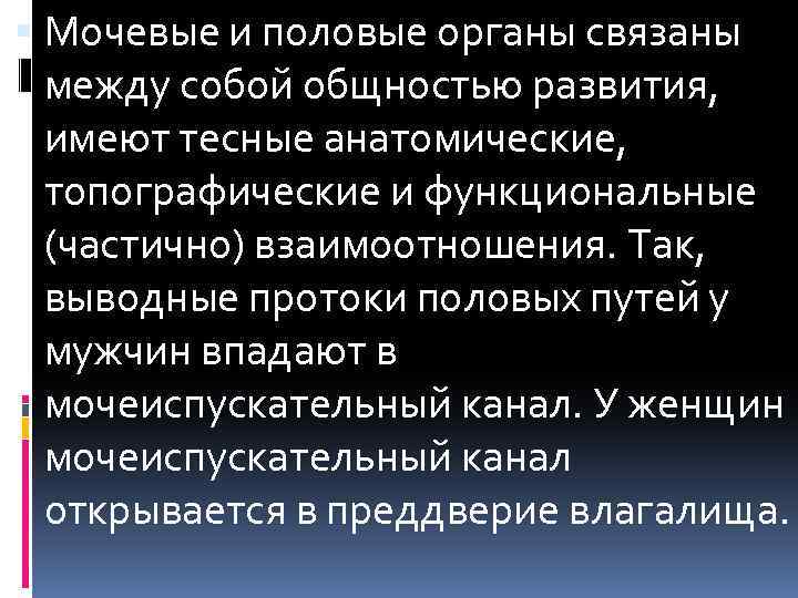  Мочевые и половые органы связаны между собой общностью развития, имеют тесные анатомические, топографические
