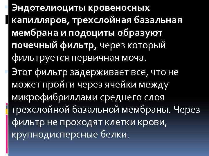  Эндотелиоциты кровеносных капилляров, трехслойная базальная мембрана и подоциты образуют почечный фильтр, через который