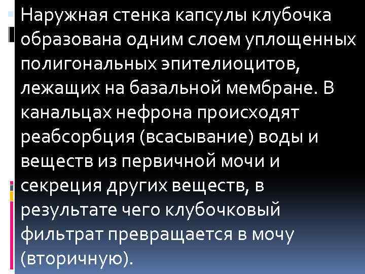  Наружная стенка капсулы клубочка образована одним слоем уплощенных полигональных эпителиоцитов, лежащих на базальной