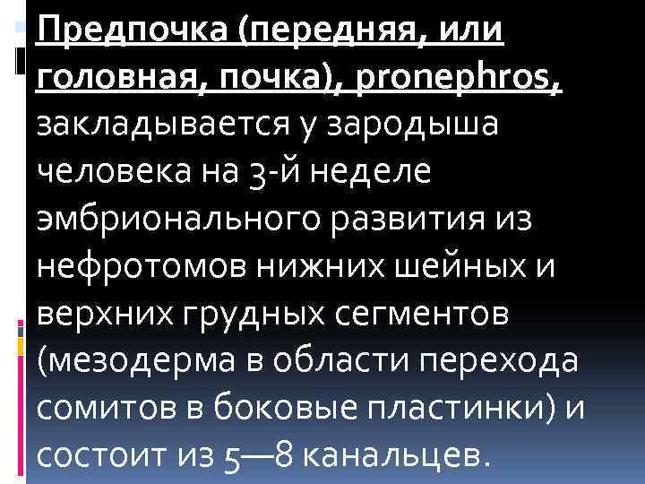  Предпочка (передняя, или головная, почка), pronephros, закладывается у зародыша человека на 3 -й