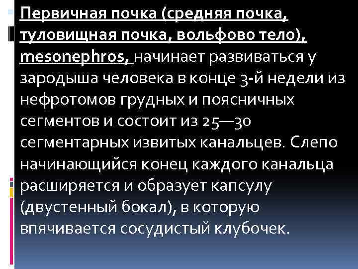  Первичная почка (средняя почка, туловищная почка, вольфово тело), mesonephros, начинает развиваться у зародыша