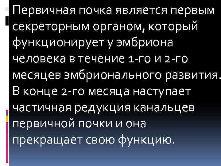  Первичная почка является первым секреторным органом, который функционирует у эмбриона человека в течение