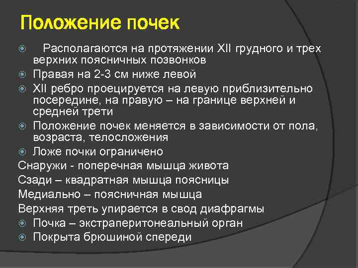 Положение почек Располагаются на протяжении XII грудного и трех верхних поясничных позвонков Правая на