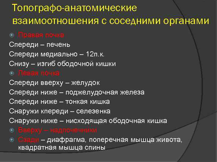 Топографо-анатомические взаимоотношения с соседними органами Правая почка Спереди – печень Спереди медиально – 12