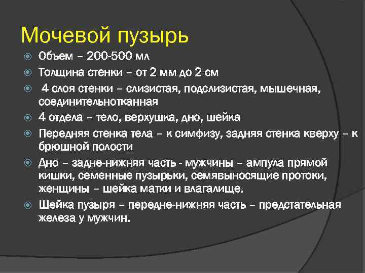 Мочевой пузырь Объем – 200 -500 мл Толщина стенки – от 2 мм до