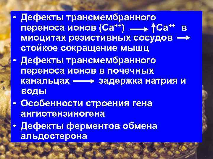  • Дефекты трансмембранного переноса ионов (Са++) Са++ в миоцитах резистивных сосудов стойкое сокращение