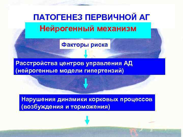 ПАТОГЕНЕЗ ПЕРВИЧНОЙ АГ Нейрогенный механизм Факторы риска Расстройства центров управления АД (нейрогенные модели гипертензий)