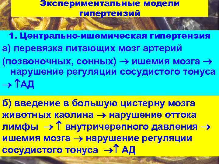 Экспериментальные модели гипертензий 1. Центрально-ишемическая гипертензия а) перевязка питающих мозг артерий (позвоночных, сонных) ишемия