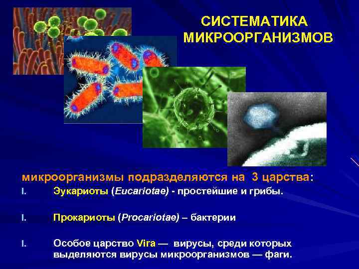 Вирусы это прокариоты. Классификация микроорганизмов вирусы бактерии. Систематика микробов микробиология. Какова систематика микробов микробиология. Систематика царства бактерий.