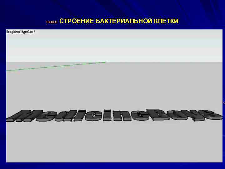  СТРОЕНИЕ БАКТЕРИАЛЬНОЙ КЛЕТКИ ВИДЕО 
