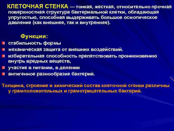  КЛЕТОЧНАЯ СТЕНКА — тонкая, жесткая, относительно прочная поверхностная структура бактериальной клетки, обладающая упругостью,