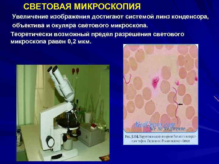 Световым микроскопом