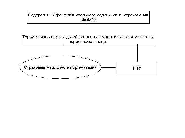 Федеральный фонд обязательного медицинского страхования (ФОМС) Территориальные фонды обязательного медицинского страхования юридические лица Страховые