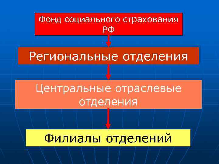 Фонд социального страхования РФ Региональные отделения Центральные отраслевые отделения Филиалы отделений 