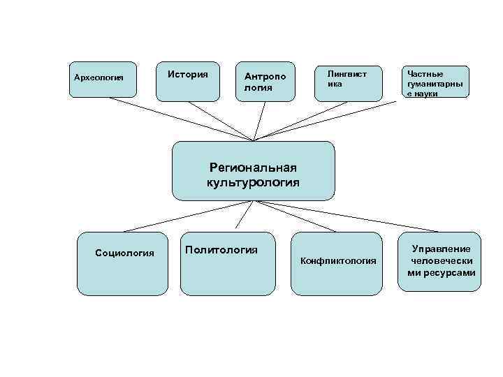 Археология История Лингвист ика Антропо логия Частные гуманитарны е науки Региональная культурология Социология Политология