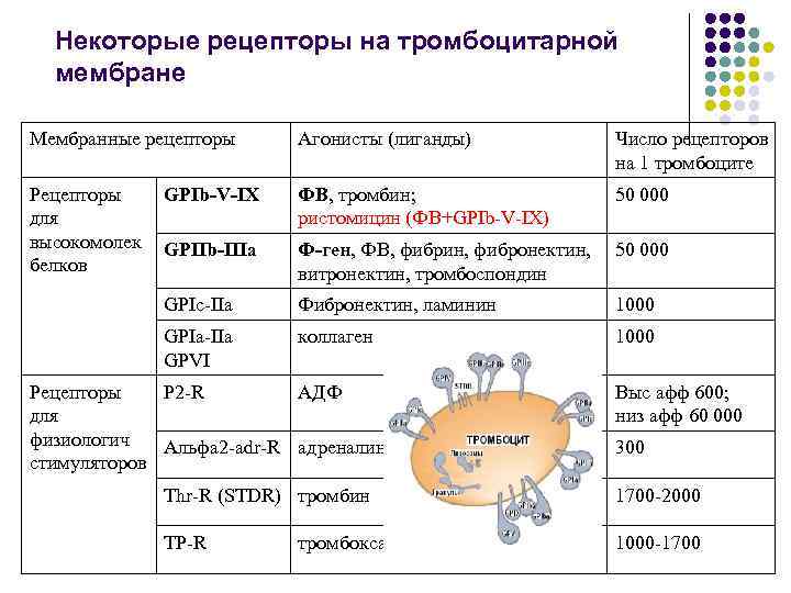 Некоторые рецепторы на тромбоцитарной мембране Мембранные рецепторы Агонисты (лиганды) Число рецепторов на 1 тромбоците