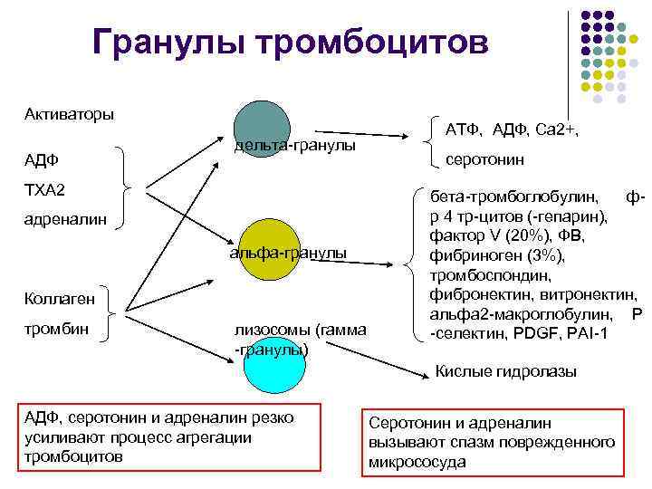 Гранулы тромбоцитов Активаторы АДФ дельта-гранулы ТХА 2 адреналин альфа-гранулы Коллаген тромбин лизосомы (гамма -гранулы)