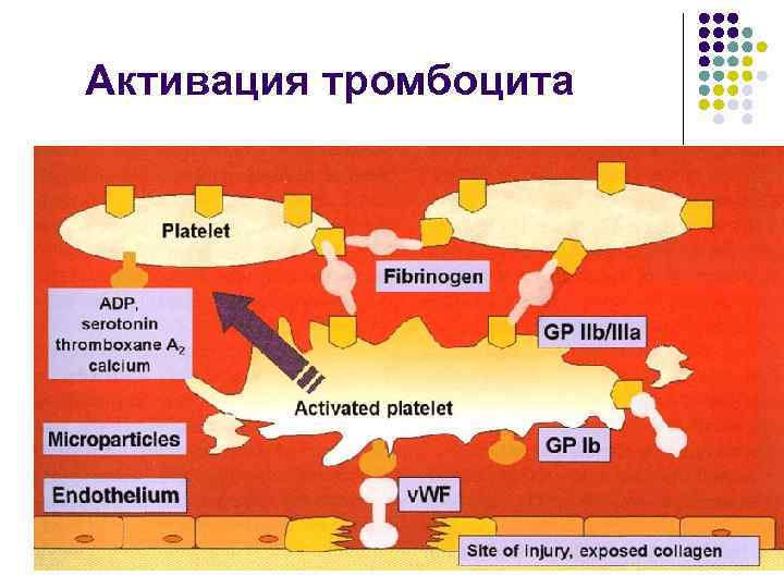 Активация тромбоцита 