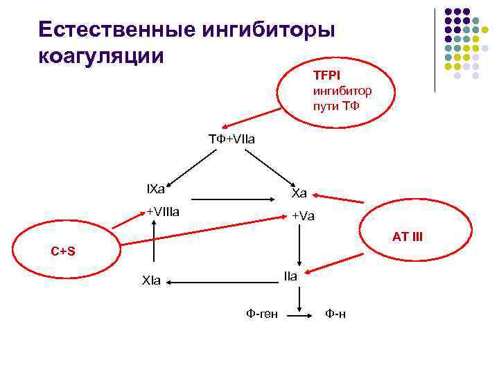 Естественные ингибиторы коагуляции TFPI ингибитор пути ТФ ТФ+VIIa IXa Xa +VIIIa +Va AT III