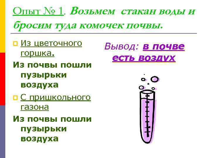 Опыт № 1. Возьмем стакан воды и бросим туда комочек почвы. Из цветочного горшка.