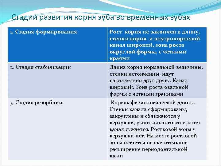 Этапы ростов. Этапы формирования корня зубов. Этапы формирования корней зубов. Стадии формирования корней временных зубов. Этапы формирования корней постоянных зубов.