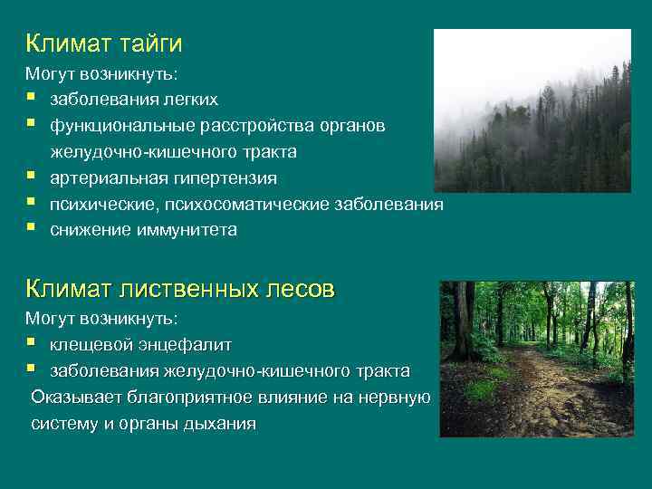 Климат тайги Могут возникнуть: § заболевания легких § функциональные расстройства органов желудочно-кишечного тракта §