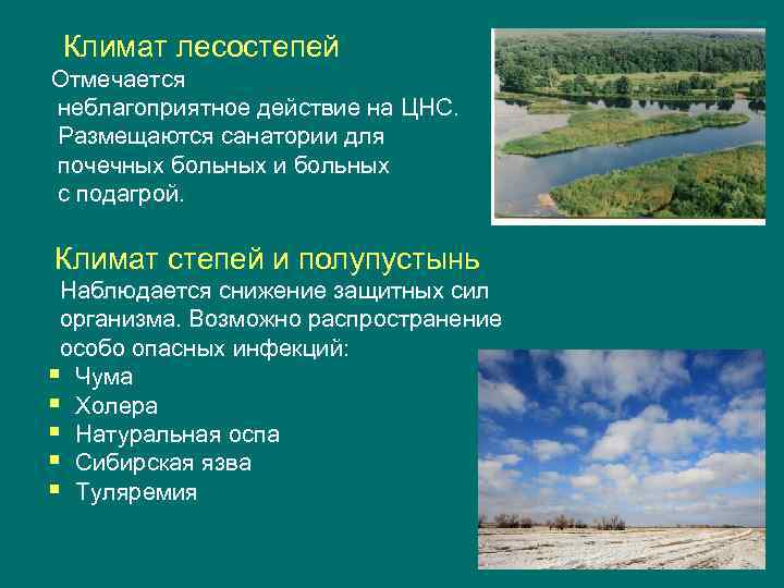   Климат лесостепей Отмечается неблагоприятное действие на ЦНС. Размещаются санатории для почечных больных