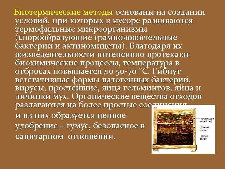Биотермические методы основаны на создании условий, при которых в мусоре развиваются термофильные микроорганизмы (спорообразующие