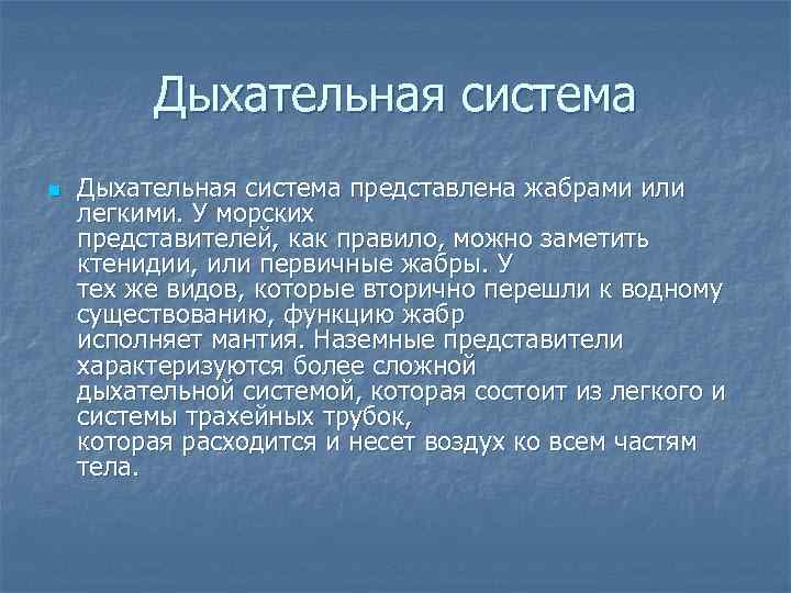    Дыхательная система n  Дыхательная система представлена жабрами или легкими. У