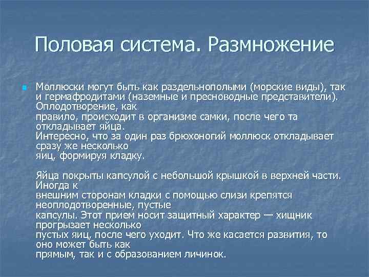   Половая система. Размножение n  Моллюски могут быть как раздельнополыми (морские виды),