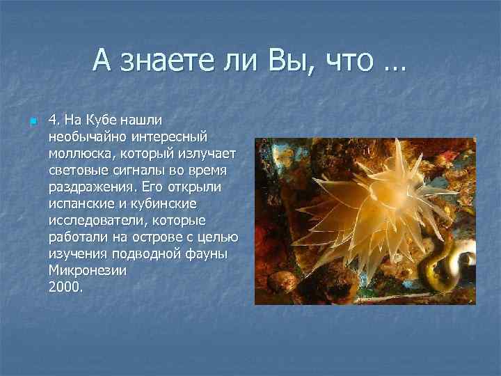    А знаете ли Вы, что … n  4. На Кубе