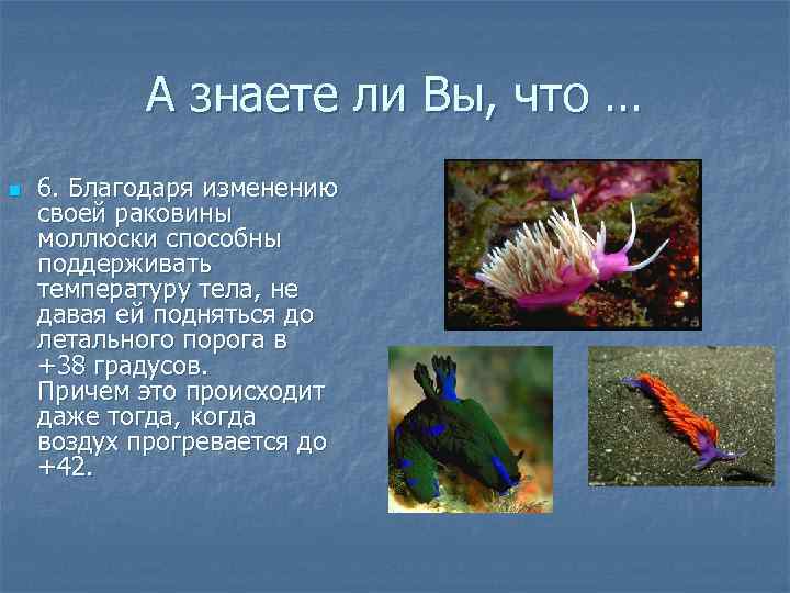   А знаете ли Вы, что … n  6. Благодаря изменению своей