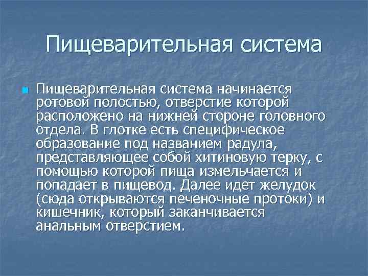  Пищеварительная система n  Пищеварительная система начинается ротовой полостью, отверстие которой расположено на