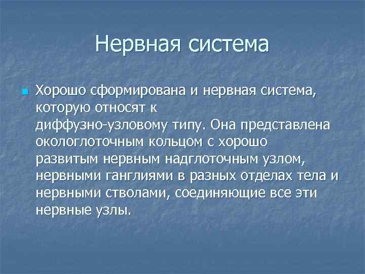   Нервная система n  Хорошо сформирована и нервная система,  которую относят