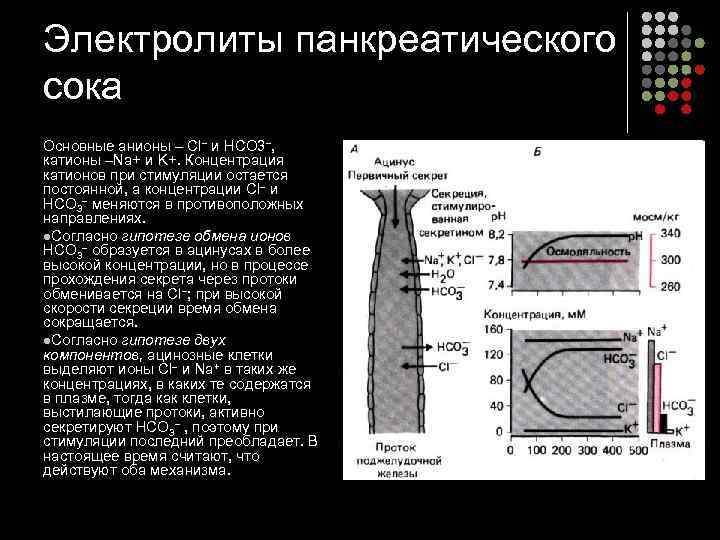Электролиты панкреатического сока Основные анионы – Сl– и НСО 3–,  катионы –Na+ и