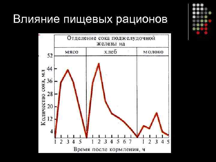 Влияние пищевых рационов 