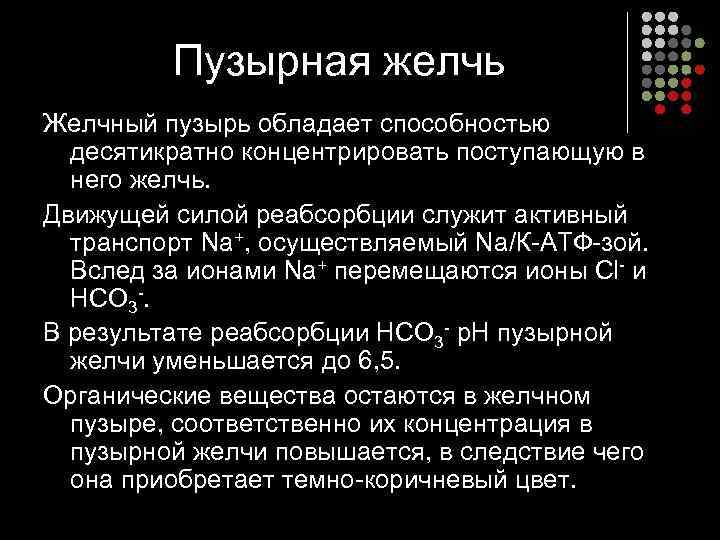    Пузырная желчь Желчный пузырь обладает способностью  десятикратно концентрировать поступающую в