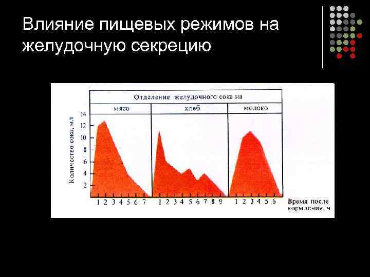 Влияние пищевых режимов на желудочную секрецию 