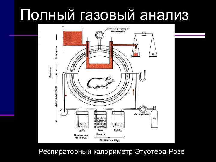 Полный газовый анализ  Респираторный калориметр Этуотера Розе 
