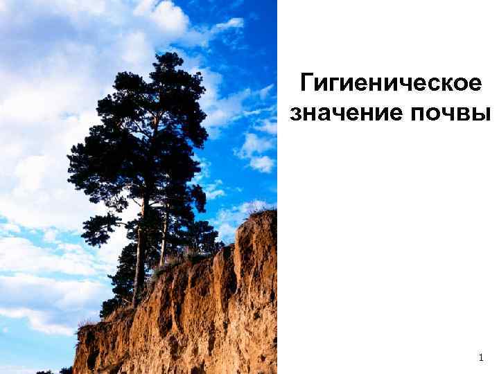  Гигиеническое значение почвы   1 