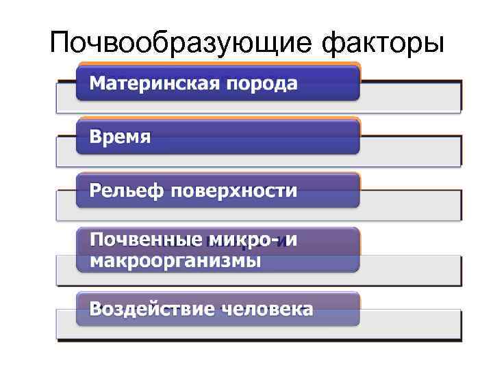 Составить схему почвообразующие факторы