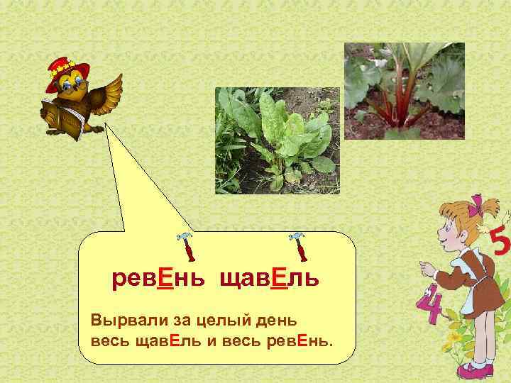   рев. Ень щав. Ель Вырвали за целый день весь щав. Ель и